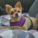 Profile Picture of Kim Trzecinski (@kimtrzecinski) on Pinterest