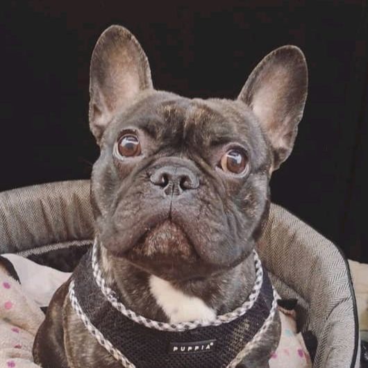 Profile Picture of Jean Prout (@jean_prout) on Tiktok