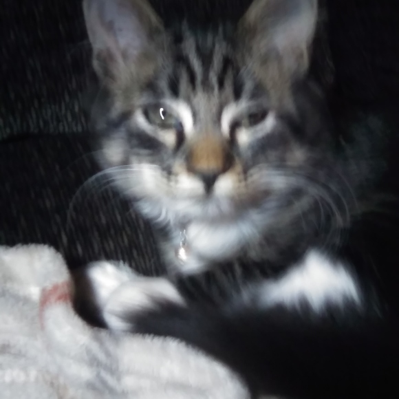 Profile Picture of Nancy Saber (@nancysaber) on Poshmark