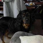 Profile Picture of Sandra Crosnier (@sandracrosnier1991) on Instagram