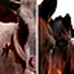 Profile Picture of Els Wielandt (@el'grafix) on Flickr