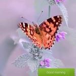 Profile Picture of Indira Chatterjee (@indira.chatterjee.777) on Instagram