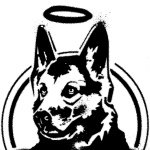 Profile Picture of Scott Collinson (@good_dog_industries) on Instagram
