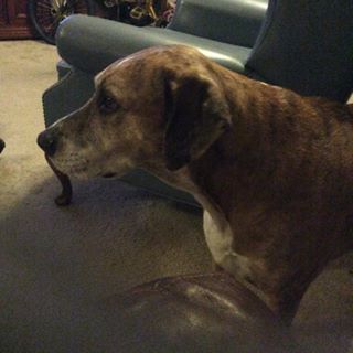 Profile Picture of Caesar White (@Caesar-White) on Facebook