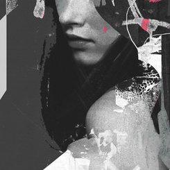 Profile Picture of Kevin Witkowski (@kevinwitkowski) on Twitter