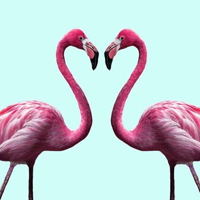 Profile Picture of Jo Pritchard (@jlp15) on Twitter