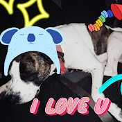 Profile Picture of Daniel Byers (@danielbyers8968) on Youtube