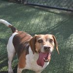 Sherman Michael Luxton - Instagram Profile Picture of Sherman Michael Luxton (@sherman_sausage) on Instagram