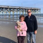 Profile Picture of Donna Brown Wilhoit (@ddbsw) on Instagram