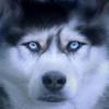 Profile Picture of andreaskraemer215 (@andreaskraemer215) on Tiktok