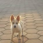 Profile Picture of Duncan Mugala (@duncan.mugala.50) on Facebook