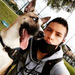 Profile Picture of Harold Camargo (@harold.camargo) on Instagram