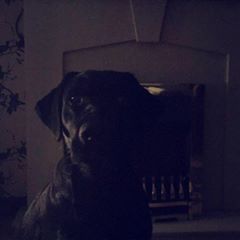 Adam Leitch - Tiktok Profile Picture of Adam Leitch (@adamleitch) on Tiktok