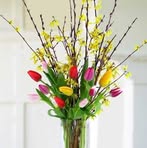 Profile Picture of Phillipp Borchers (@Phillipp-Borchers) on Facebook