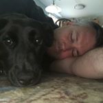 Profile Picture of David Polikoff (@varsity_truckie) on Instagram