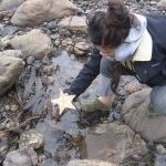 Profile Picture of Abby Choudhury (@ajchoudhury) on Pinterest