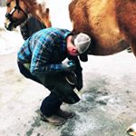 Profile Picture of Josh Scott (@fine_line_farrier_services) on Instagram