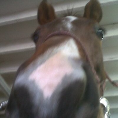 Profile Picture of Raymond Tremblay (@teteatete251311) on Twitter