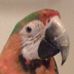 Profile Picture of Toby Garber (@toby.garber1) on Facebook