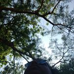 Andrew Dscosta - Instagram Profile Picture of Andrew Dscosta (@andrew_decosta_) on Instagram