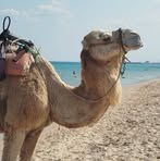 Profile Picture of Jan Gorczyński (@Jan-Gorczyński) on Facebook