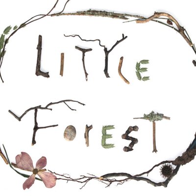 Profile Picture of Jon S Woolley (@lilforestdesign) on Twitter