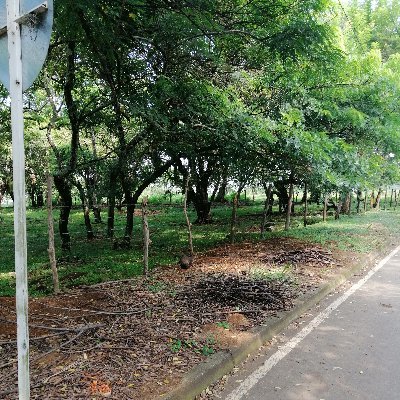 Profile Picture of David Mona (@Davidmona20) on Twitter