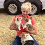 Profile Picture of Barbara Scully (@babscully) on Instagram
