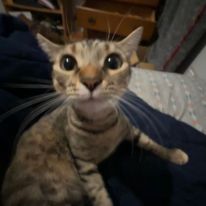 Profile Picture of Ryan Wegner (@@ryanwegner6) on Tiktok