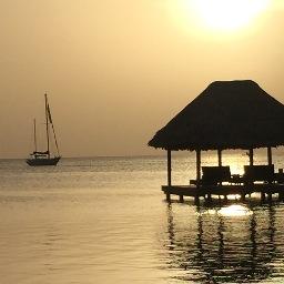 Profile Picture of Doug Gardner (@douggardner29) on Twitter