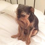 Profile Picture of John Taborda (@johntaborda_) on Instagram