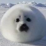 Profile Picture of Alexandra Zielinska (@alexandra.zielinska.9) on Facebook