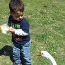 Profile Picture of Priscilla Duncan Trussell (@priscillalynntrussell) on Instagram