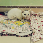 Rita Nguyen - Flickr Profile Picture of Rita Nguyen (@nguyenthuhien.2b11) on Flickr