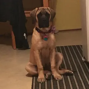 Profile Picture of nick_direzze (@nick_direzze) on Tiktok