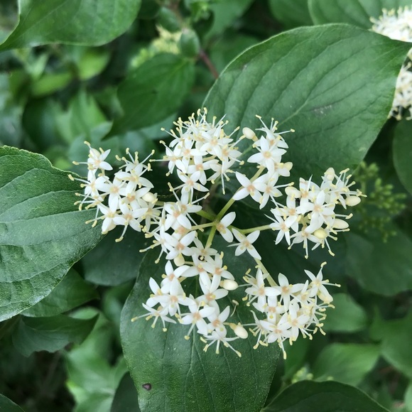 Profile Picture of Jerralynn Trober (@jaytrober) on Poshmark