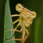 Profile Picture of James Kennedy (@The Nature Guy) on Flickr