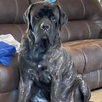 Profile Picture of Declan Treanor (@declan.treanor.96) on Facebook