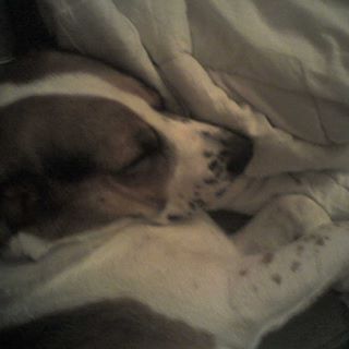 Profile Picture of Uta Walter (@uta.walter.3) on Facebook