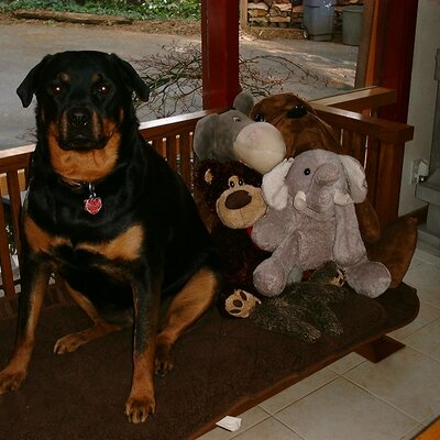 Profile Picture of Ray Brunner (@dwrrgb) on Twitter