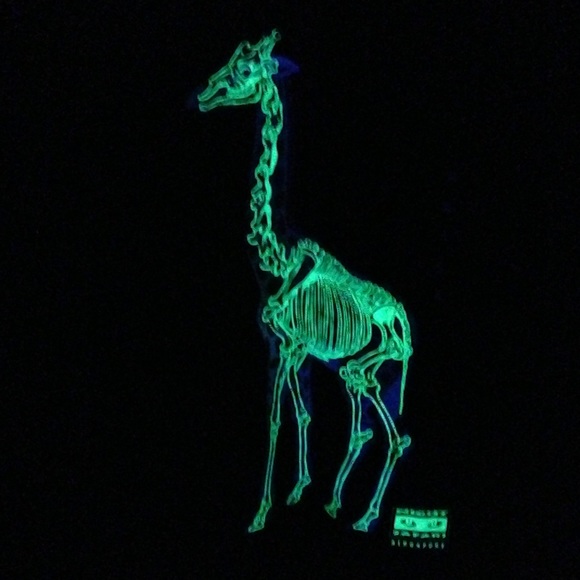 Profile Picture of Mao Mao (@snapf) on Poshmark