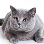 Profile Picture of frieda (@kriszina.schramm) on Instagram