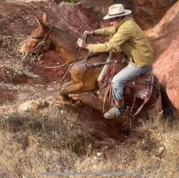 Profile Picture of Trevor Fletcher (@trevor_fletcher) on Poshmark