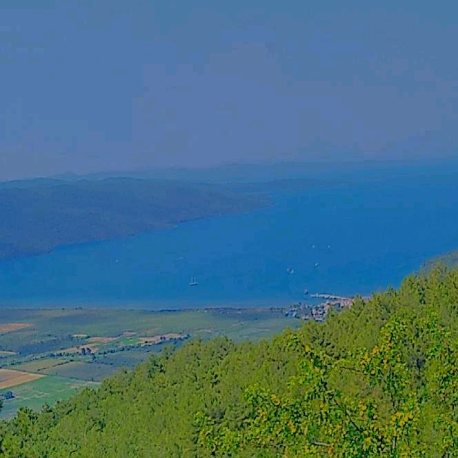 Marla monca - Tiktok Profile Picture of Marla monca (@marlamonca) on Tiktok