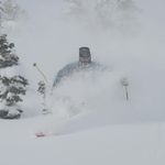 Profile Picture of Larry West (@larryw.est) on Instagram