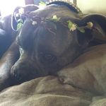 Profile Picture of Athena Nunes (@athena_nunes) on Instagram