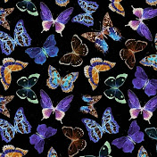 Profile Picture of Kyle Osborn (@kyleosborn4938) on Youtube