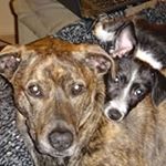 Profile Picture of Matthew Cremeans (@mc43076) on Instagram