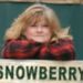Profile Picture of Paula Lemm Chad Wood (@paulannettelemm) on Pinterest