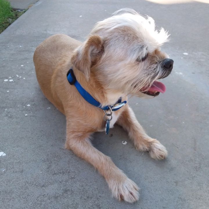 Profile Picture of Jodi (@jodi_is_ok) on Tiktok